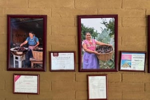 Cocina Ancestral, Arte Textil en Teotitlán y Árbol del Tule