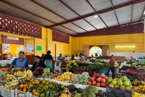 Cocina Ancestral, Arte Textil en Teotitlán y Árbol del Tule