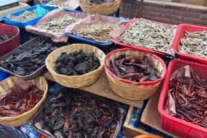 Cocina Ancestral, Arte Textil en Teotitlán y Árbol del Tule