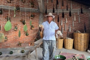 Cocina Ancestral, Arte Textil en Teotitlán y Árbol del Tule