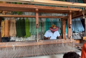 Cocina Ancestral, Arte Textil en Teotitlán y Árbol del Tule