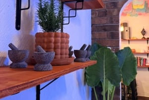 Taller de Mixología Ancestral Mexicana con Vista Panorámica en Coyoacán