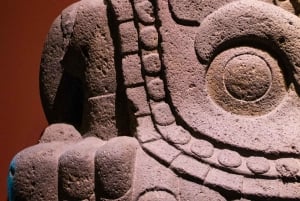 Museo de Antropología: ¡Visita Privada Completa con Antropólogo!