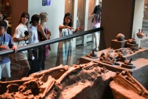 Anthropology Museum, tacos and mezcal tour in Polanco