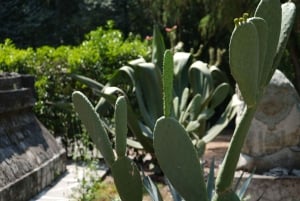 Anthropology Museum, tacos and mezcal tour in Polanco