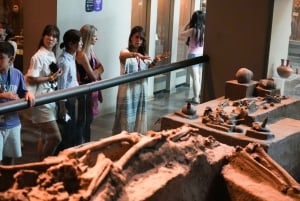 Anthropology Museum, tacos and mezcal tour in Polanco