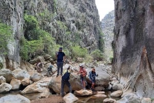 Excursión de 2 días al Cañón de Apoala, Charcas y Cascadas