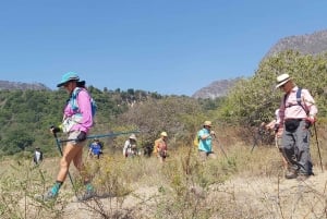 Excursión de 2 días al Cañón de Apoala, Charcas y Cascadas