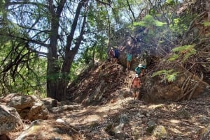 Excursión de 2 días al Cañón de Apoala, Charcas y Cascadas