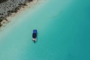 Tour en barco pontón de 3 h con acceso al Club de Playa y Kayaks gratuitos