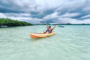 Tulum: Bacalar Boat Ride Adventure! Round Trip from Tulum