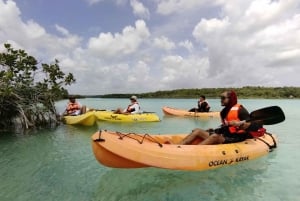 Tulum: Bacalar Boat Ride Adventure! Round Trip from Tulum