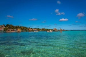 Bacalar: Tour de día completo a la laguna, cenote y paseo en pontón