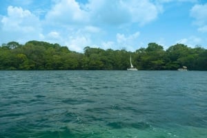 Bacalar: Tour de día completo a la laguna, cenote y paseo en pontón