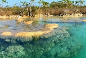 Bacalar: Magnífico Recorrido en Barco Exclusivo por la Laguna de Bacalar