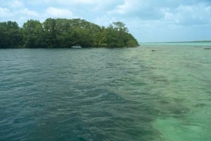 Pontón de Bacalar: Visita la Laguna de los 7 Colores y el Cenote Azul