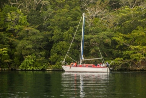 Bacalar: tour privado por la laguna con guacamole casero