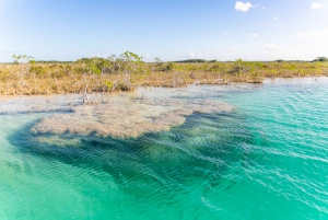 Bacalar: Private Sailboat Tour with Lagoon Swimming