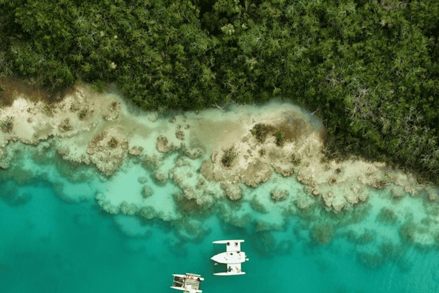 Bacalar: Private Sailing Trip with Biologist, SNORKEL and DAYPASS