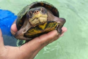 Bacalar: Private Sailing Trip with Biologist, SNORKEL and DAYPASS