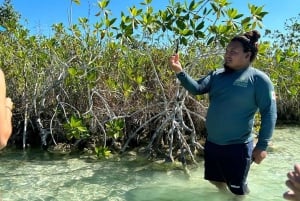 Bacalar: Private Sailing Trip with Biologist, SNORKEL and DAYPASS