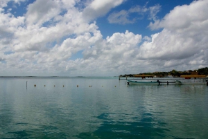 Bacalar’s Best: Cenote Azul and Lagoon Tour in Pontoon