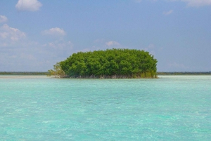 Bacalar’s Best: Cenote Azul and Lagoon Tour in Pontoon