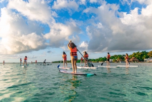 Bacalar: Sunrise Paddleboard Tour with Floating Picnic
