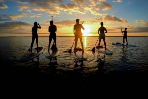 Bacalar: Excursión en Stand Up Paddle al Amanecer