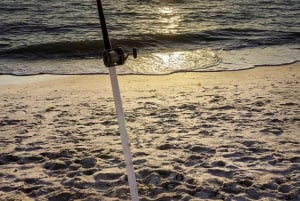 Baja: Pesca de aventura en la costa: explora La Ventana en un vehículo todo terreno