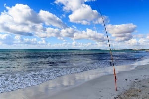 Baja: Pesca de aventura en la costa: explora La Ventana en un vehículo todo terreno