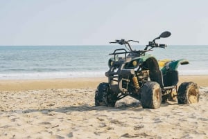 Baja: Pesca de aventura en la costa: explora La Ventana en un vehículo todo terreno