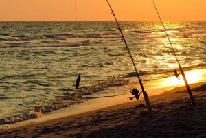 Baja: Pesca de aventura en la costa: explora La Ventana en un vehículo todo terreno