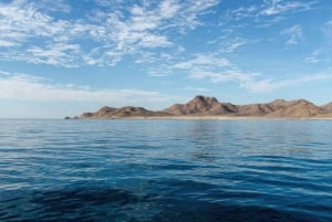 Baja California: Excursión de Avistamiento de Ballenas en La Ventana 3 Personas