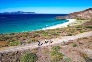 Aventura en Balandra: Senderismo, Kayak y Snorkel