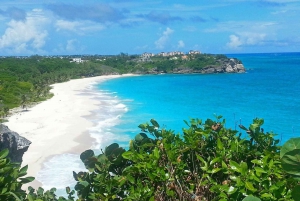 Barbados: Coastal Sightseeing Tour with Lunch and Transfers