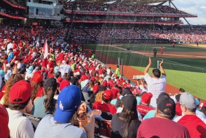 Experiencia día de partido de Béisbol en Ciudad de México - Diablos Rojos