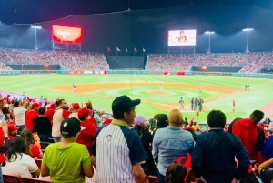 Experiencia día de partido de Béisbol en Ciudad de México - Diablos Rojos