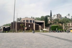Basílica de Guadalupe: Tour completo a pie