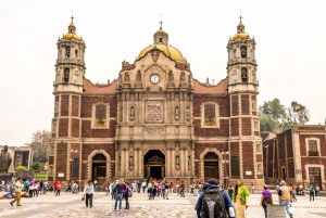 Basílica de Nuestra Señora de Guadalupe: Tour privado + Transporte