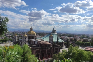 Basílica de Nuestra Señora de Guadalupe: Tour privado + Transporte