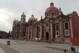 Basilica de Guadalupe: Tour Privado a pie
