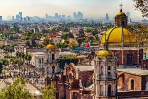 Mexico City: Basilica of Our Lady of Guadalupe Private Tour