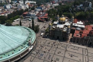 Mexico City: Basilica of Our Lady of Guadalupe Private Tour