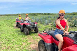 beach and jungle ATV tour + lunch and tequila tasting