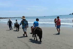 Club de Playa Todo Incluido: Deportes, Caballos, Comida y Bebidas