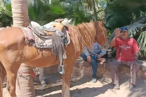 Club de Playa Todo Incluido: Deportes, Caballos, Comida y Bebidas