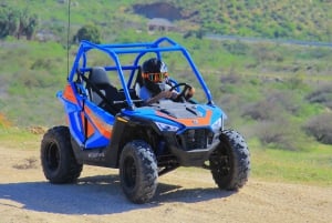 Excursión a la Playa y al Desierto en Cabo