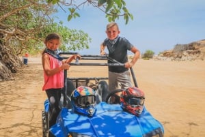 Excursión a la Playa y al Desierto en Cabo