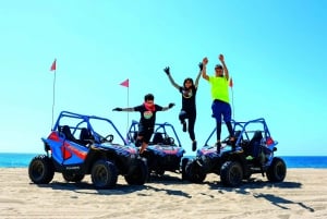 Excursión a la Playa y al Desierto en Cabo